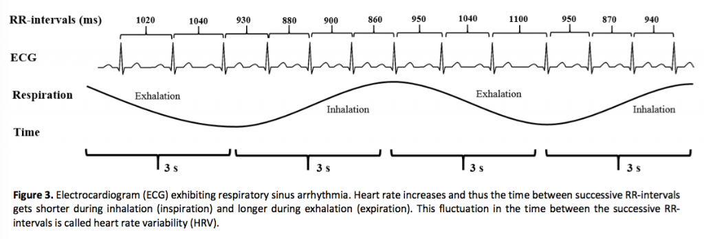 HRV from white paper